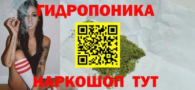 винт Бердск