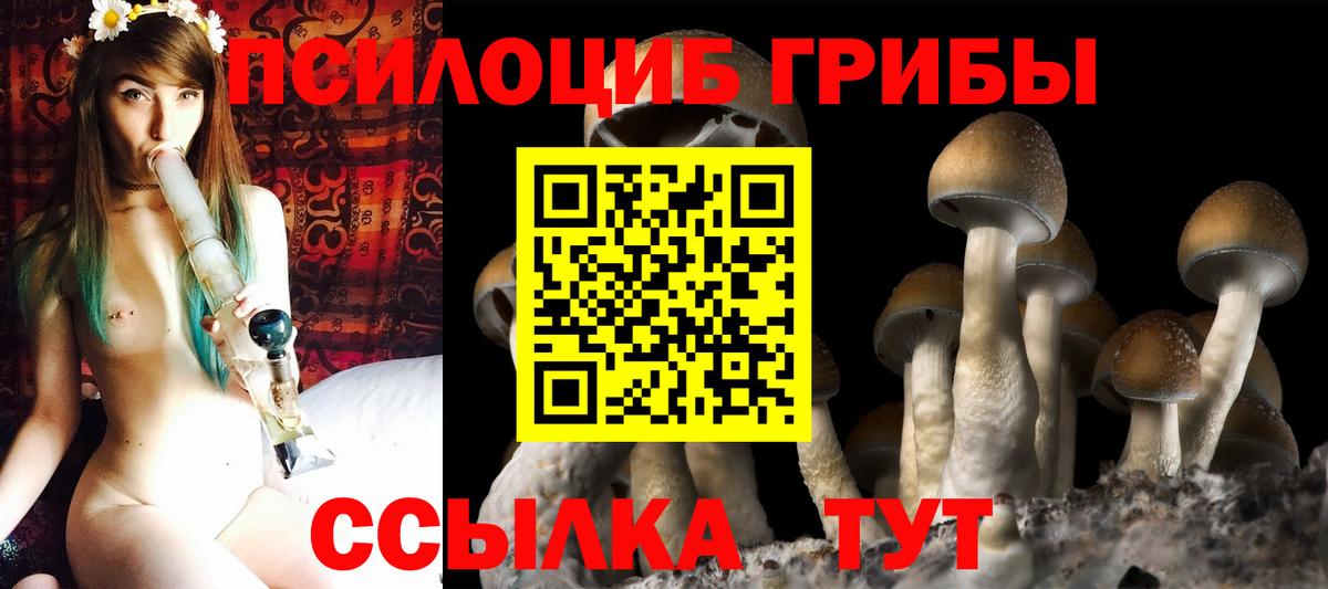 Псилоцибиновые грибы мицелий Сургут